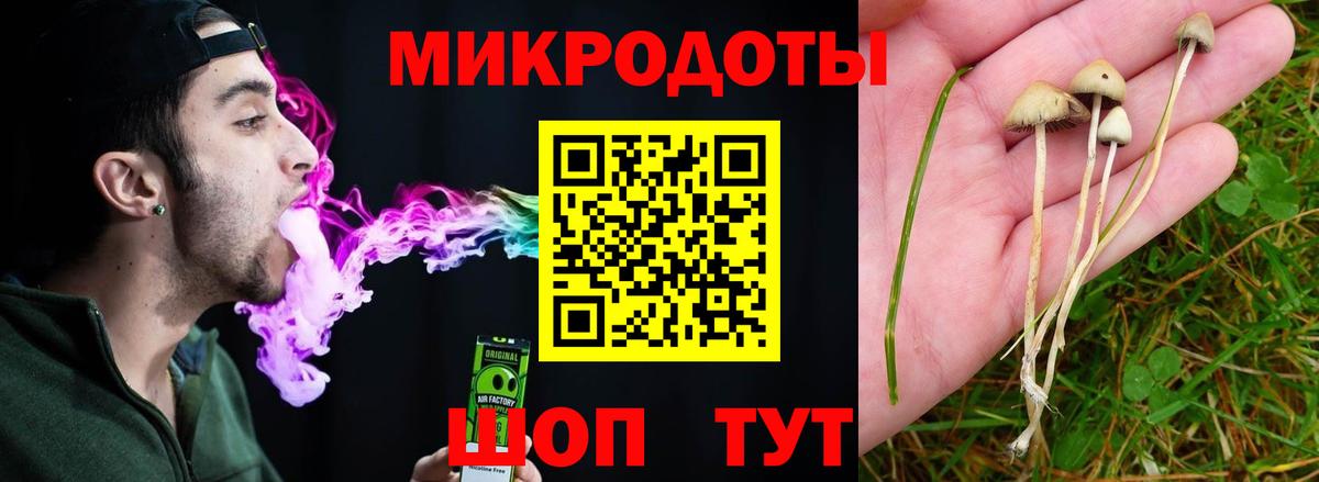 Псилоцибиновые грибы прущие грибы Троицк